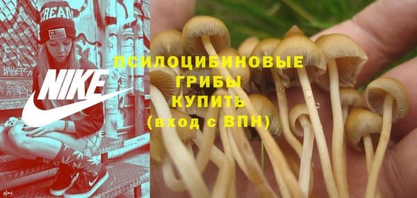бутират Алексеевка
