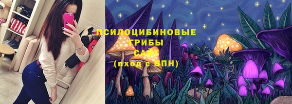 бошки Алексин