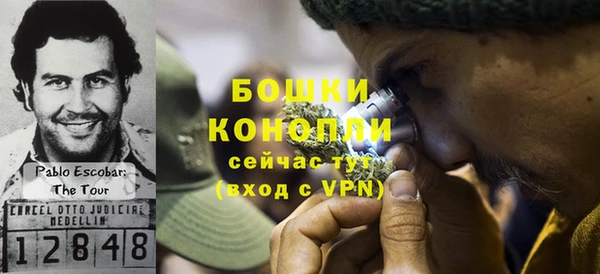 бошки Алексин