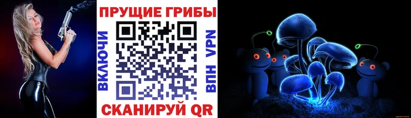 Галлюциногенные грибы MAGIC MUSHROOMS Борзя