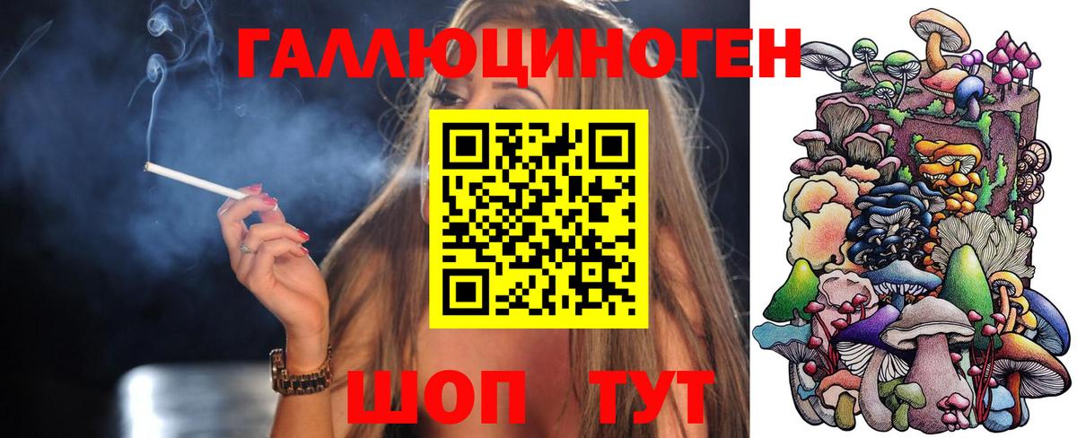 Галлюциногенные грибы MAGIC MUSHROOMS  Вход с VPN  Борзя 